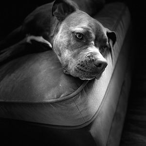 Meet your Posher, Lorena